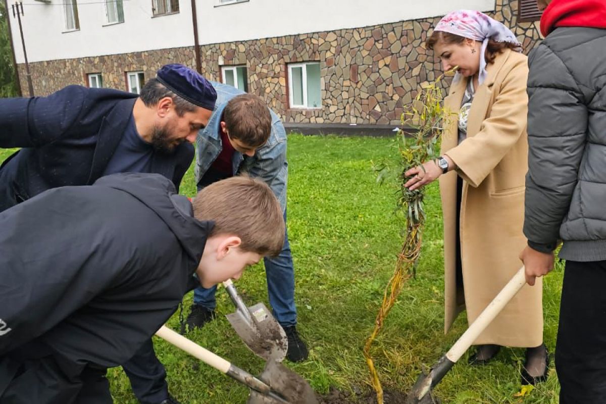 В рамках проекта «Единой России» «Мир возможностей» в Магасе прошла акция по высадке деревьев