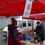 Ярмарка «Выбирай своё» прошла в Котовске