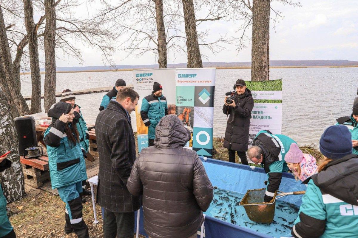 В регионе в рамках партпроекта «Чистая страна» прошла экоакция по выпуску мальков в Воронежское водохранилище