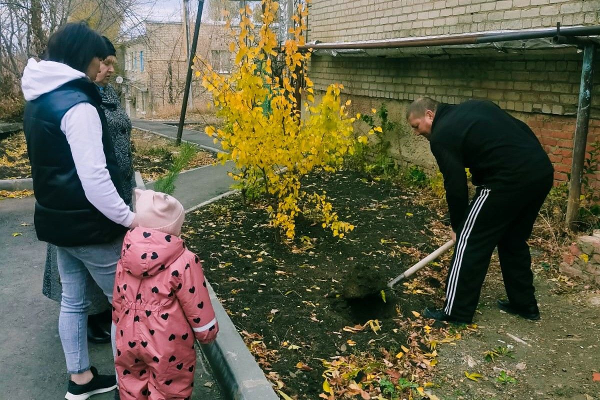 Активисты партии высадили деревья в рамках акции «Посади дерево»