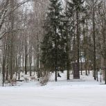 В селе Яренск Ленского района продолжается благоустройство Преображенского парка