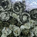 От чистого сердца во имя победы!