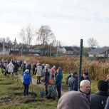 Единороссы посадили деревья в сквере Щигров