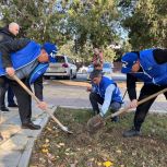 Депутаты и активисты «Единой России» высадили ели в Кизилюрте