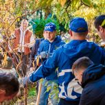 Активисты «Единой России» и «Молодой Гвардии» присоединились к акции «Чистый Крым»