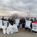 «Чистый берег»: сосновцы вместе с партией «Единая Россия» преобразили озеро Касарги