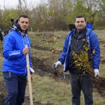 Северодонецкие единороссы присоединились к Всероссийской акции «Сохраним лес»