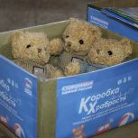 Конструкторы, настольные игры, раскраски: «Единая Россия» собирает подарки для детей, проходящих сложное лечение в больницах