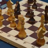«Единая Россия» провела шахматный турнир Единства в Челябинской области