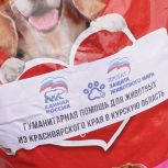 «Единая Россия» отправляет в Курск корма для животных, оставшихся без владельцев