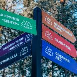 «Единая Россия»: Центральный лес культуры и отдыха в Нягани – одно из крупнейших туристических мест в Югре