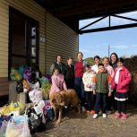 Партпроект «Защита животного мира» собрал помощь для животных прифронтовой Курской области