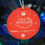 В Иркутской области стартовала Всероссийская благотворительная акция «Елка желаний»