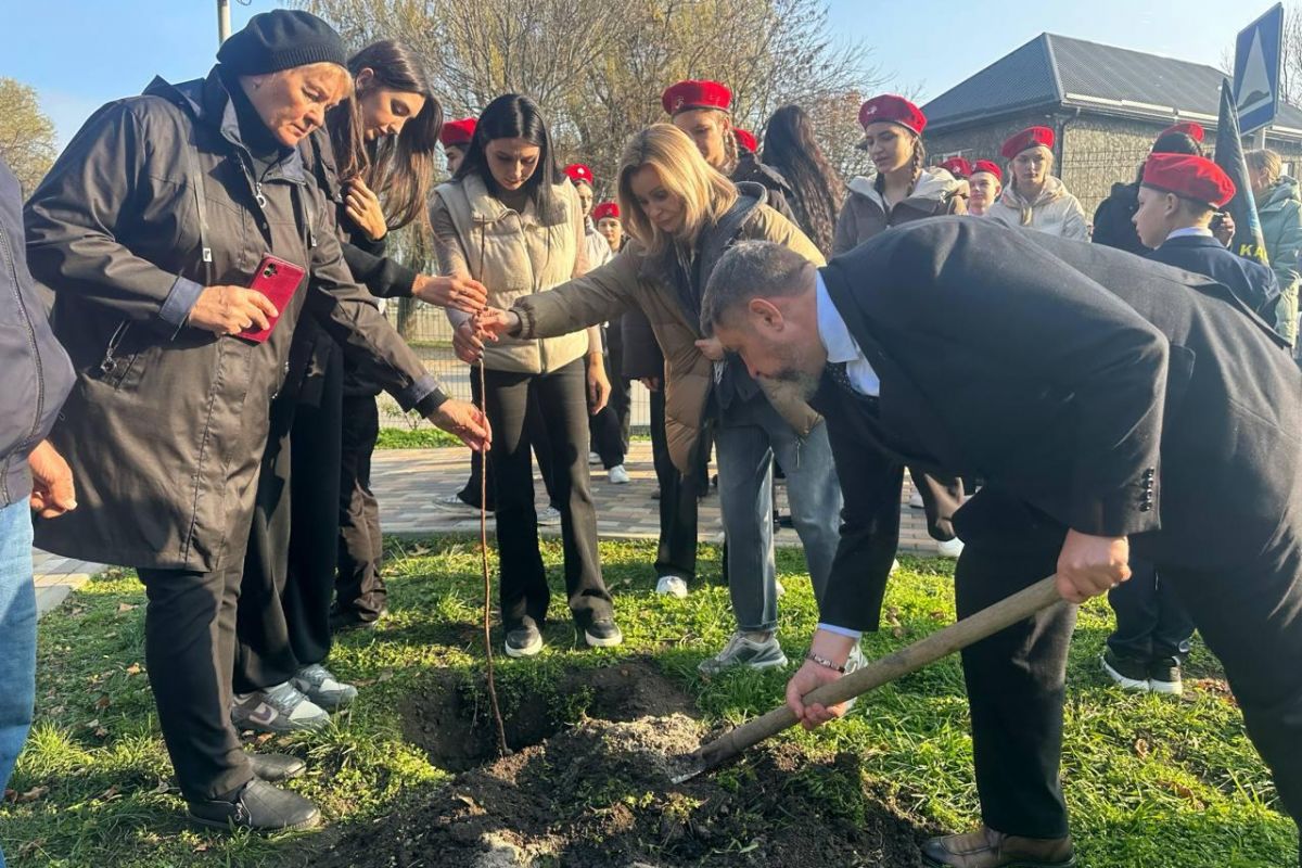 При поддержке и участии активистов и сторонников партии высажены деревья и проведены субботники