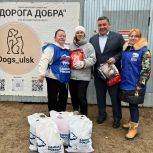 «Единая Россия» оказала помощь приюту для бездомных животных в Ульяновске