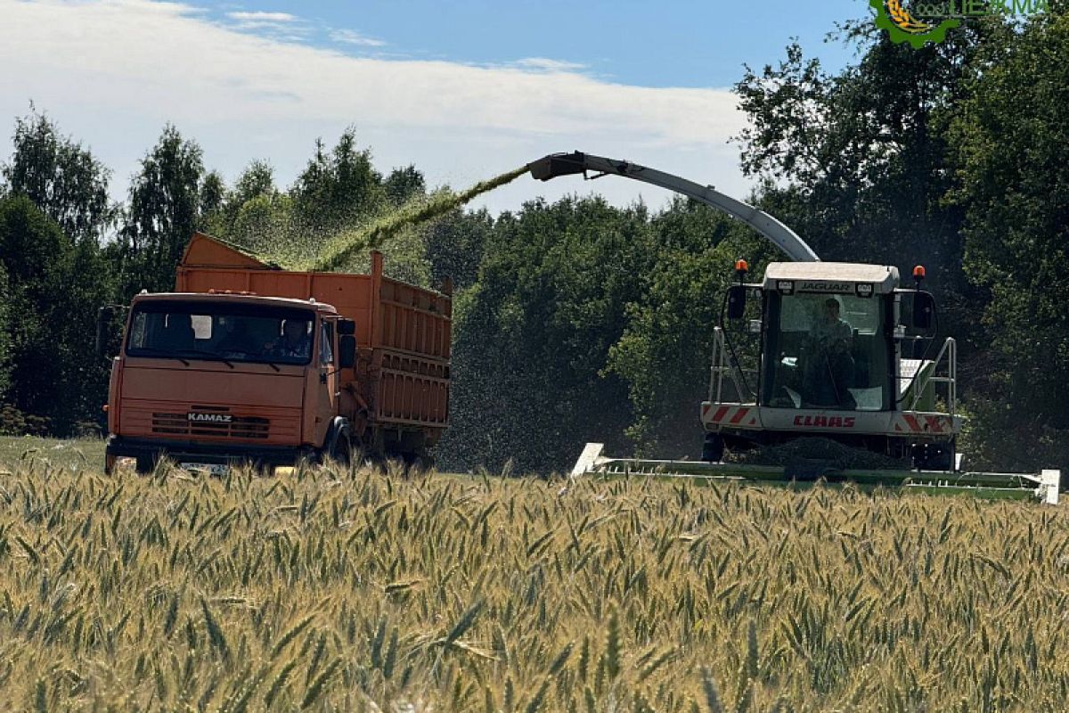 Правительство РФ выделит дополнительные средства на государственную поддержку аграриев