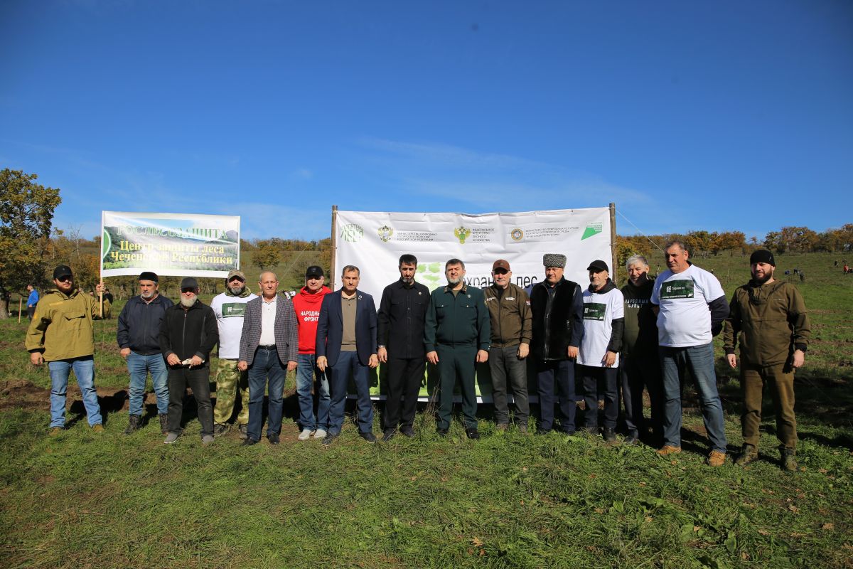 Партийцы «Единой России» приняли участие в акции «Сохраним лес»