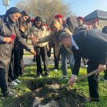 При поддержке и участии активистов и сторонников партии высажены деревья и проведены субботники