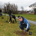В Пскове и Волновахе «Единая Россия» провела акции по высадке кустарников и цветов