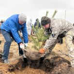 «Единая Россия» приняла участие в масштабной посадке деревьев в Варненском округе, создав парк «Народного единства»