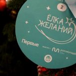 «Ёлка желаний» стартует 15 ноября