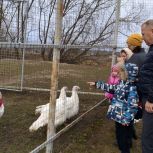 «Ромашка желаний» продолжает осуществлять детские мечты