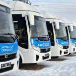 При поддержке «Единой России» регион закупает общественный транспорт на эко-топливе