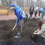 Точка притяжения: волновахский парк порадует местных жителей и гостей не только архитектурой, но и благоухающими розами