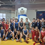 В Нижнем Новгороде при поддержке «Единой России» прошёл региональный этап всероссийского фестиваля спортивной борьбы