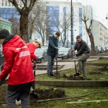 Партийцы, члены «Молодой гвардии» и «Волонтерской роты» высадили саженцы лип