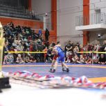 В Ивановской области при поддержке «Единой России» состоялся региональный этап II Всероссийского фестиваля спортивной борьбы