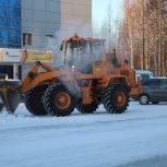 Хорошо ли убирают снег на улицах Губкинского следят местные партийцы