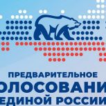 Итоги электронного предварительного голосования в Абыйском районе