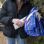 При содействии «Единой России» в регионе прошла патриотическая акция ко Дню народного единства