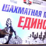 Шахматный турнир — ко Дню народного единства