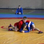 День самбо в Лысых Горах отметили межмуниципальным турниром