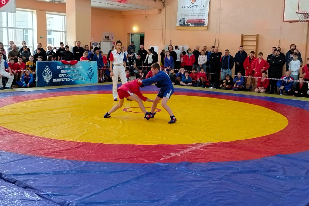 «Единая Россия» организовала соревнования по самбо в Волгоградской области