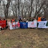 По инициативе «Единой России» жители Шкотовского округа Приморского края прошли по «Тропе здоровья»