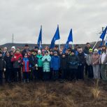 В Тюльгане посадили 300 сосен