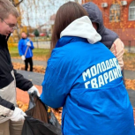 «Единая Россия» организовала серию осенних субботников в регионах