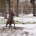 Глава Ижевска Дмитрий Чистяков: «Березовая роща станет по-настоящему современным парком»