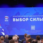 Партийный проект «Единой России» «Выбор сильных» объединил лучшие наработки представителей спортивной борьбы, дзюдо и самбо