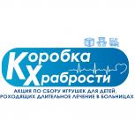«Единая Россия» с 10 ноября по 2 декабря 2025 года запускает благотворительную акцию «Коробка храбрости»