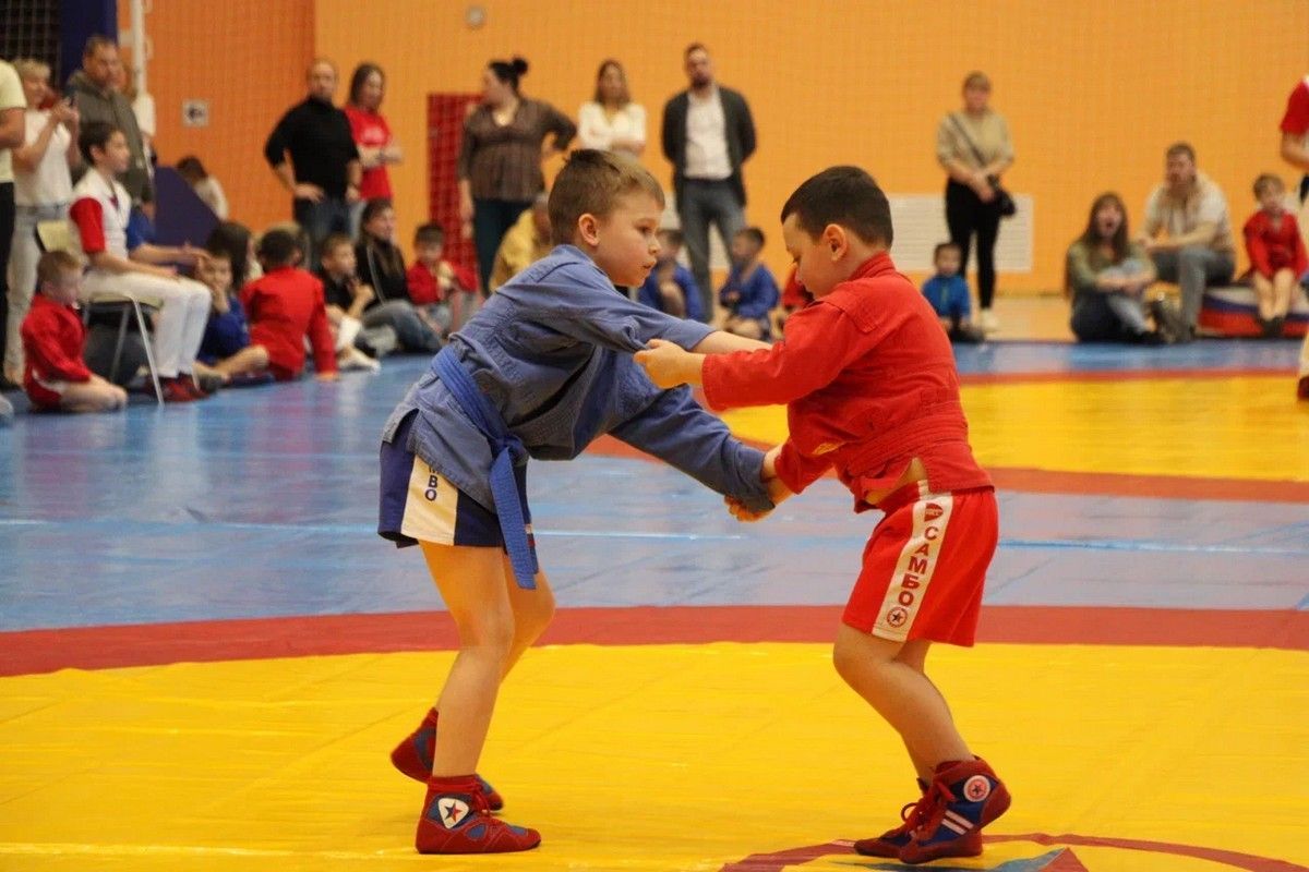 «Единая Россия» провела в регионах спортивные соревнования ко Всероссийскому дню самбо