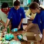 Сторонники «Единой России» в Матвеево-Курганском районе вместе со школьниками и их родителями подготовили посылки в зону СВО ко Дню народного единства