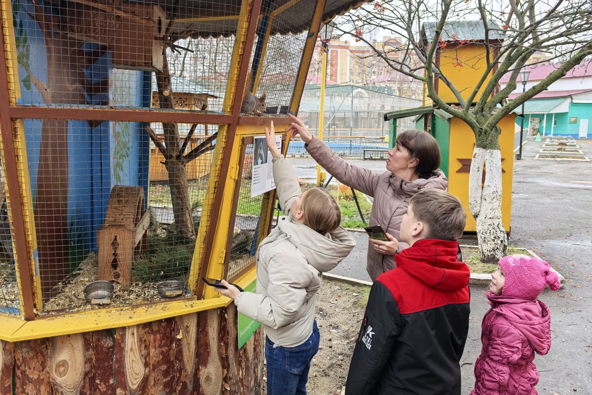 Еще одно счастливое событие  в рамках акции «Ромашка желаний»
