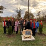 Депутат «Единой России» Сергей Суховенко принял участие в акции «Сад Победы» в Веселовском районе