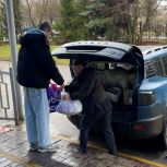 «Единая Россия» и студенты — в помощь животным Курска