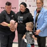 В Мурманске наградили участников конкурса «Моя Кошка»