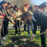 Депутаты «Единой России» вышли на большой субботник в Ставропольском крае